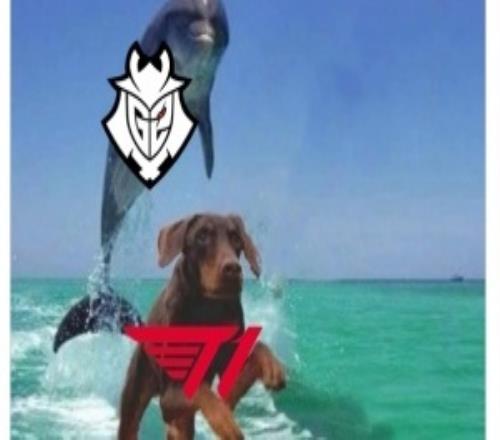 BLG你人呢G2官推更新动态：四分之一决赛群聊更新