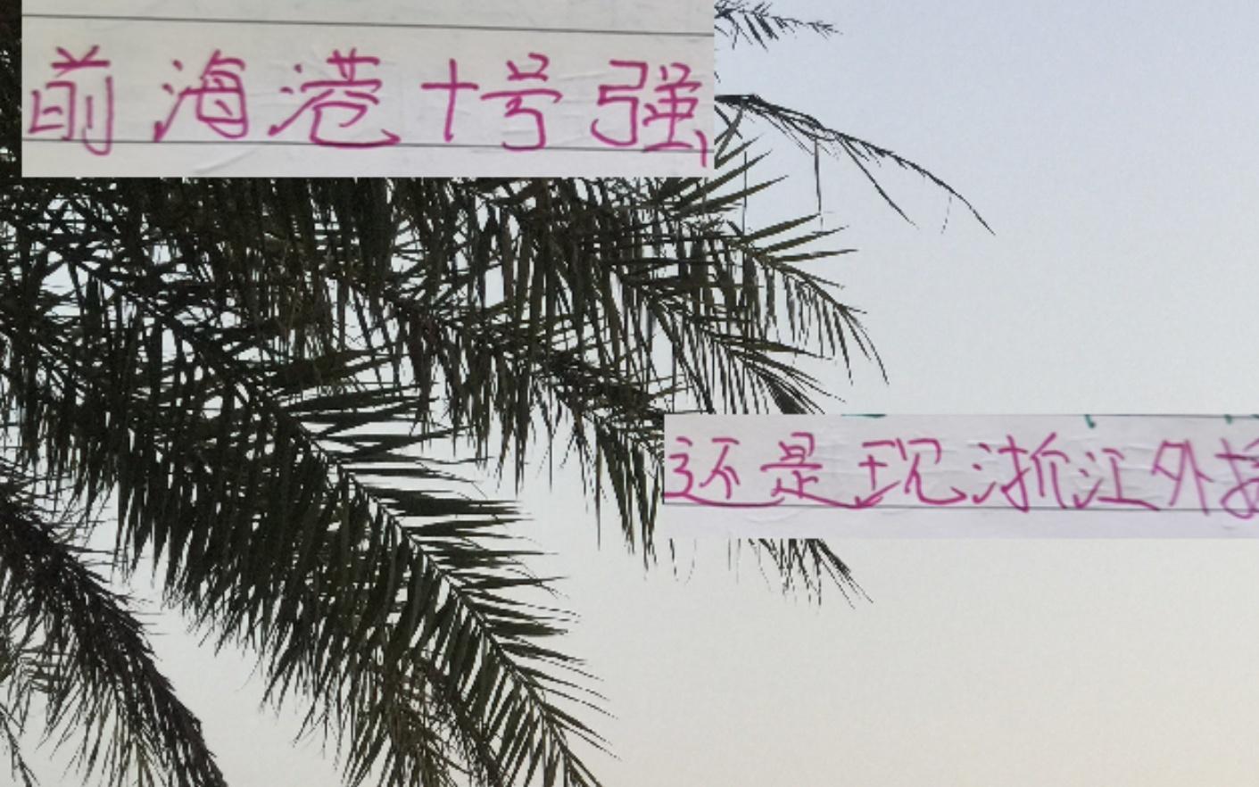 中超这两年的最强外援是去年海港巴