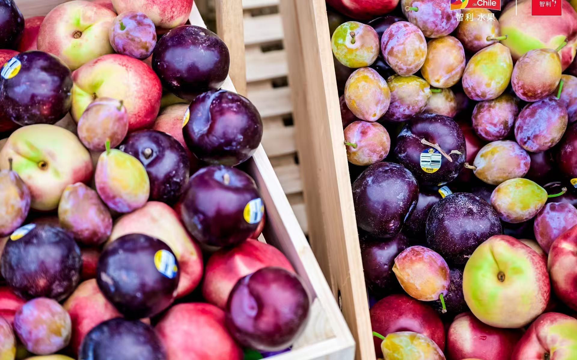 上海樱花节女子10公里精英赛燃动春日，智利西梅桃李领跑健康生活