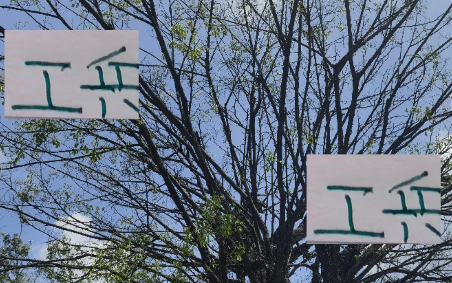 有意思！海港+成都+北京国安工兵中场