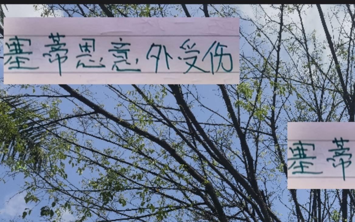 这也太巧！去年苏亚雷斯拄了个拐没想