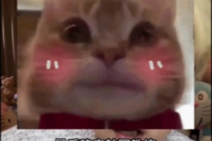 朱开：很多LPL队伍迷信韩国教练但不了解中国文化会浪费磨合时间