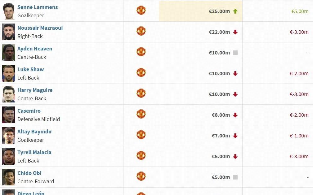 曼联球员身价变动：B费下跌至4000万欧，阿马德迪亚洛上涨1000万欧