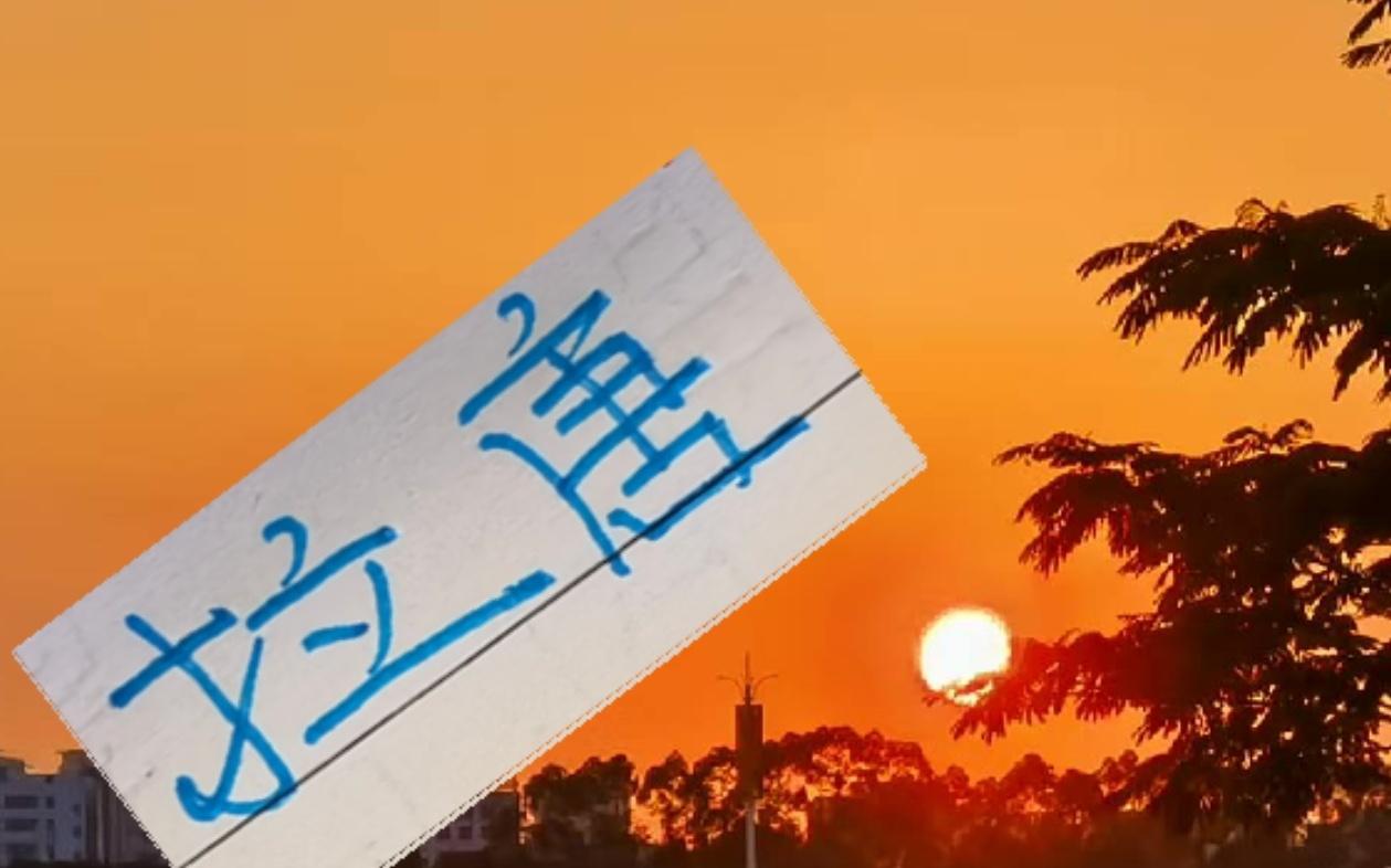 申花新外援！是按照海港莱昂纳多的模型来买吗