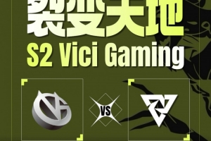 数值差距太大！VG双大哥打团只能See 