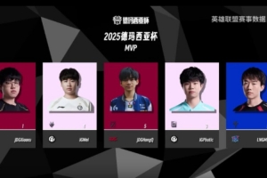 德杯各位置NO1：打野位Wei多项数据第