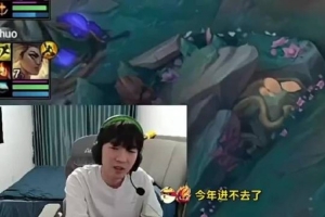 Cryin：小虎今年真进不去了主要AL跟IG崛起了感觉今年WBG很难