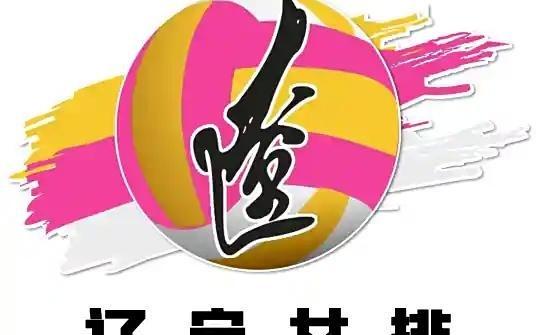 辽宁女排翻译曝球队欠薪半年，队员们一点保障都没有