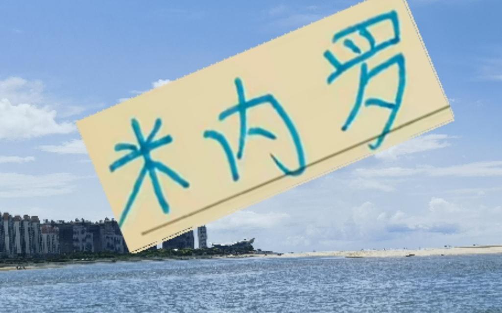 米内罗当年J联赛都踢不明白在申花大修前也能进球如麻