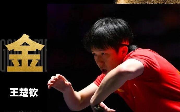 王楚钦WTT男单夺冠
