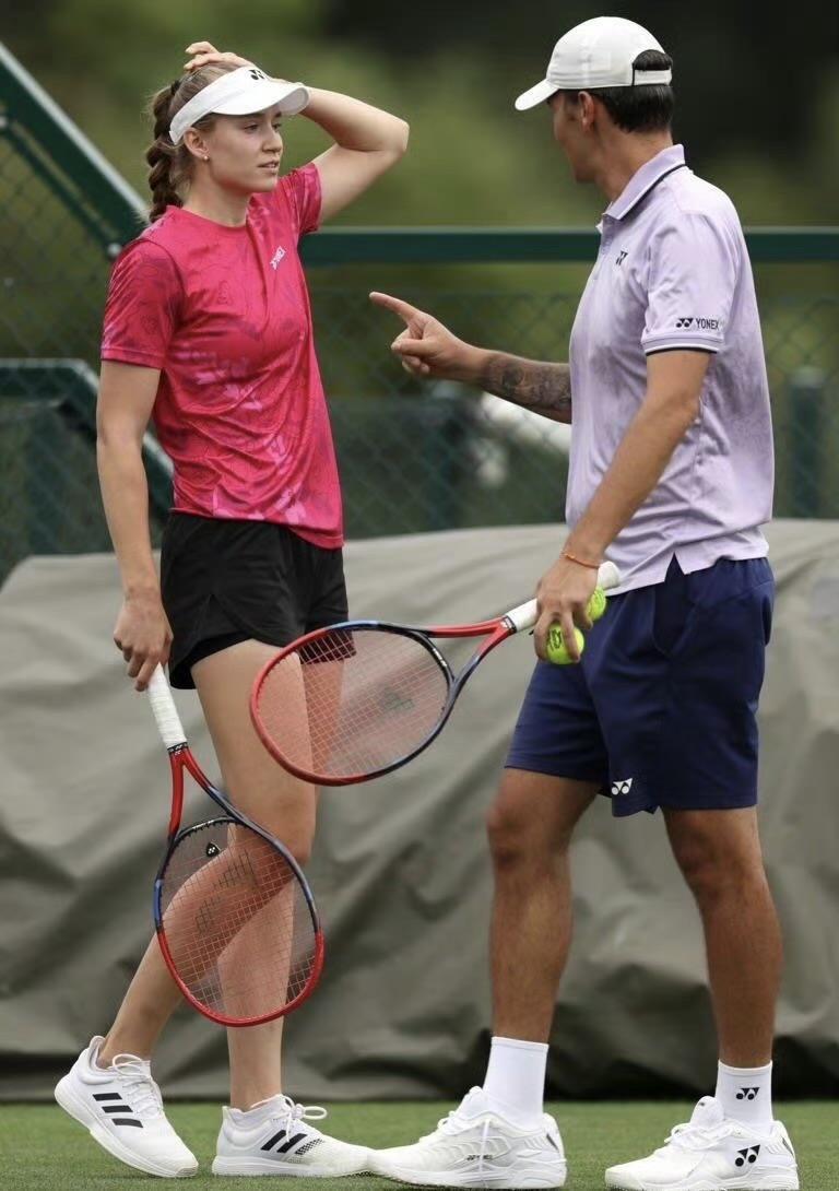 维斯妮娜视角下的莱巴金娜与武科夫