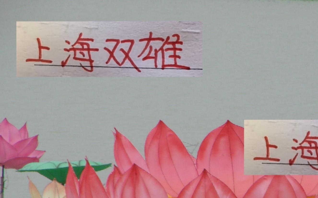 又是上海双雄争冠！万一海港是冠军申花就可能有10个亚军了