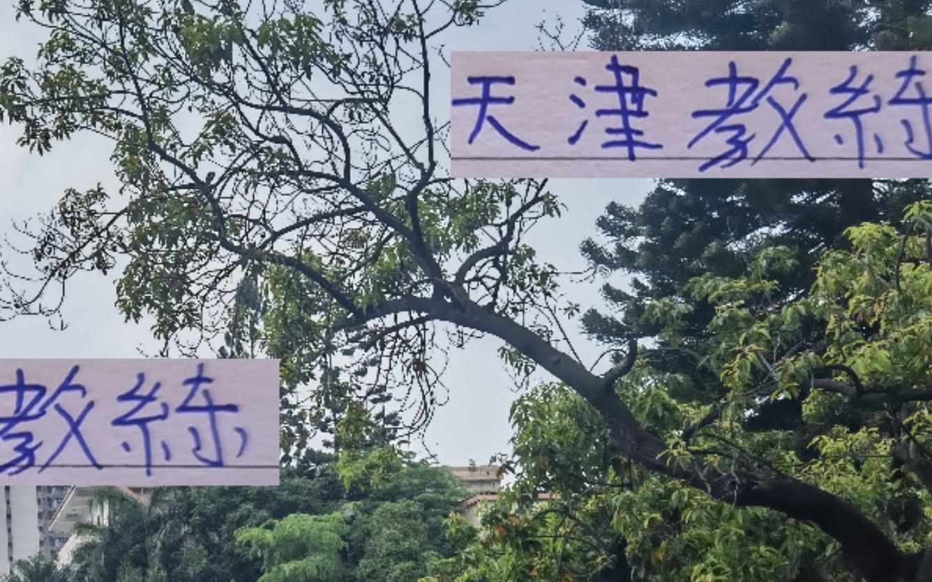 就这么想赢申花！中超刚28轮天津教练就说到赛季最后一战想法