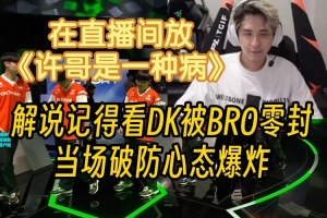 解说记得看DK被BRO零封当场心态爆炸在直播间放《许哥是一种病》