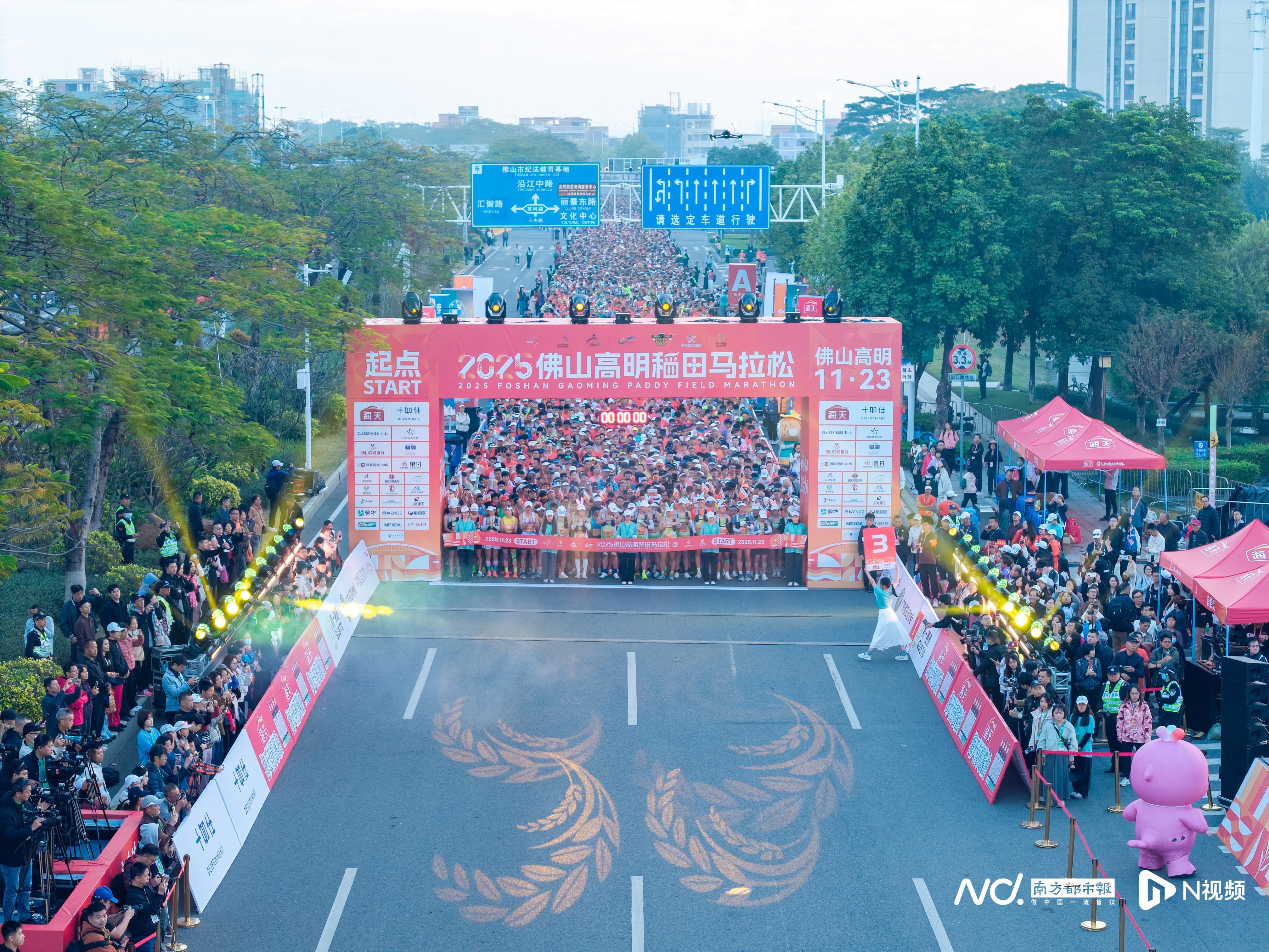 图集佛山高明：秋色漫赛道稻浪伴奔跑